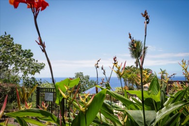 Lake House NEW! Quiet Ocean-view 1st floor Patio Pool , , on Big Island - Kailua-Kona Bay  in Hawaii - Lakehouse Vacation Rental - Lake Home for rent on LakeHouseVacations.com