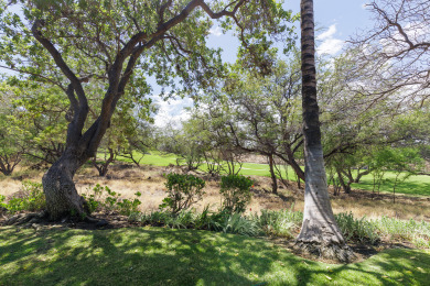 Lake House Fairways at Mauna Lani#203 w VIEWS! Ultra Luxury 22.5 at Mauna Lani Resort, , on  in Hawaii - Lakehouse Vacation Rental - Lake Home for rent on LakeHouseVacations.com