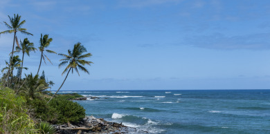 Lake House Chic and Romantic Beachside Studio - Steps To Beach, Super Walkable Location, , on  in Hawaii - Lakehouse Vacation Rental - Lake Home for rent on LakeHouseVacations.com