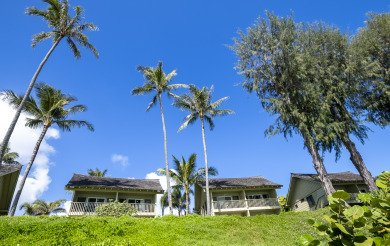 Lake House Chic and Romantic Beachside Studio - Steps To Beach, Super Walkable Location, , on  in Hawaii - Lakehouse Vacation Rental - Lake Home for rent on LakeHouseVacations.com