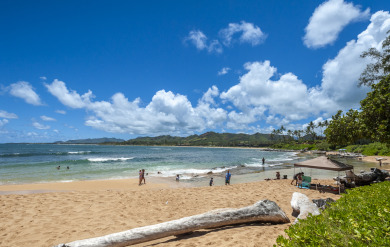 Lake House Chic and Romantic Beachside Studio - Steps To Beach, Super Walkable Location, , on  in Hawaii - Lakehouse Vacation Rental - Lake Home for rent on LakeHouseVacations.com