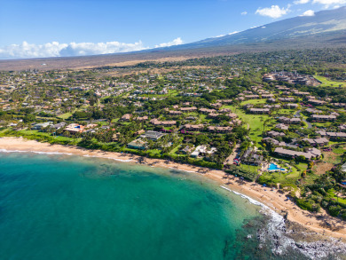 Lake House Wailea Ekahi Premier 1 Bd+2Ba Condominium 20G-Adjacent to Keawakapu Beach, , on Maui - Wailea in Hawaii - Lakehouse Vacation Rental - Lake Home for rent on LakeHouseVacations.com