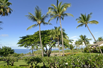 Lake House Front Row! 1 bd2 ba with big ocean Views! Maui Kamaole A110 , , on Maui - Kihei in Hawaii - Lakehouse Vacation Rental - Lake Home for rent on LakeHouseVacations.com