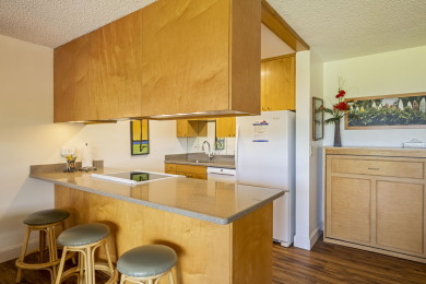 Lake House Oceanfront 2 bedroom suite in Sunny Kihei, , on Maui - Kihei in Hawaii - Lakehouse Vacation Rental - Lake Home for rent on LakeHouseVacations.com