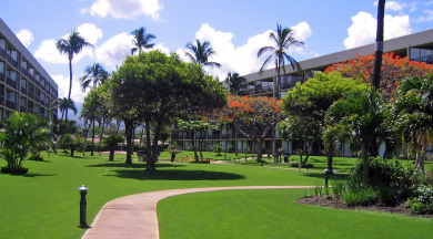 Lake House Spacious 3 bedroom oceanfront condo suite, , on Maui - Kihei in Hawaii - Lakehouse Vacation Rental - Lake Home for rent on LakeHouseVacations.com