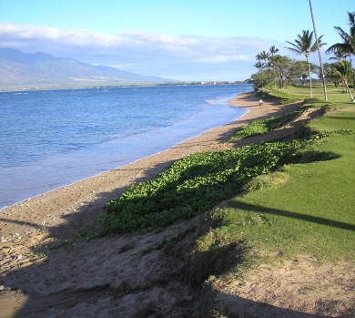 Lake House Spacious 3 bedroom oceanfront condo suite, , on Maui - Kihei in Hawaii - Lakehouse Vacation Rental - Lake Home for rent on LakeHouseVacations.com