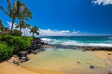 Lake House 3 bed3 bath Poipu Condo - Central AC, Walking path to Beach, , on Nottely River - Union County in Hawaii - Lakehouse Vacation Rental - Lake Home for rent on LakeHouseVacations.com