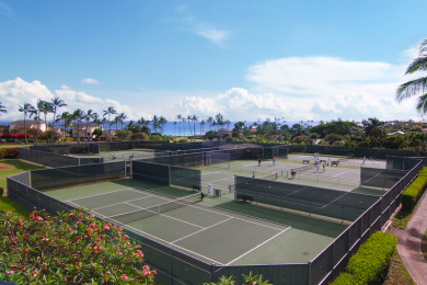 Lake House 3 bed3 bath Poipu Condo - Central AC, Walking path to Beach, , on Nottely River - Union County in Hawaii - Lakehouse Vacation Rental - Lake Home for rent on LakeHouseVacations.com