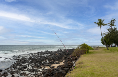 Lake House AC, Pool, Hot Tub, Tennis Courts! Short Walk to Poipu Beach & Restaurants, , on Nottely River - Union County in Hawaii - Lakehouse Vacation Rental - Lake Home for rent on LakeHouseVacations.com