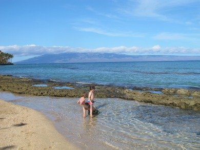 Lake House Ocean Front, Beach access! Cute Ground floor, Unit 104. Steps to the ocean!, , on Maui - Lahaina in Hawaii - Lakehouse Vacation Rental - Lake Home for rent on LakeHouseVacations.com