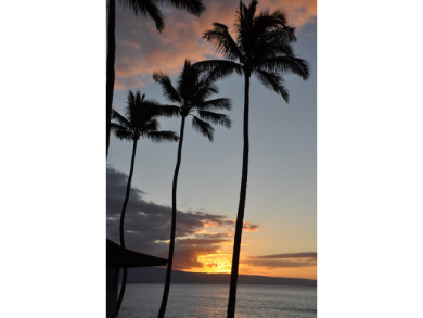 Lake House Top Floor! Vaulted Ceilings! Direct Ocean Views! Come to Maui! #217, , on Maui - Lahaina in Hawaii - Lakehouse Vacation Rental - Lake Home for rent on LakeHouseVacations.com