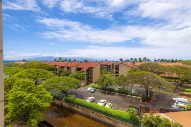 Lake House Charming Studio at Oceanfront Ka anapali Shores Pools, Beach Access, AC , , on Maui - Lahaina in Hawaii - Lakehouse Vacation Rental - Lake Home for rent on LakeHouseVacations.com