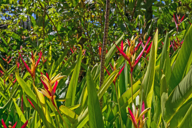 Lake House Great Deal! 1BR Condo at Oceanfront Kaanapali Shores Pools, AC, Beach, , on Maui - Lahaina in Hawaii - Lakehouse Vacation Rental - Lake Home for rent on LakeHouseVacations.com