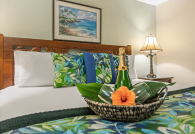 Lake House OCEANFRONT 1 Bdrm Condo next to the water! Air conditioned - Kaleialoha 209, , on Maui - Lahaina in Hawaii - Lakehouse Vacation Rental - Lake Home for rent on LakeHouseVacations.com