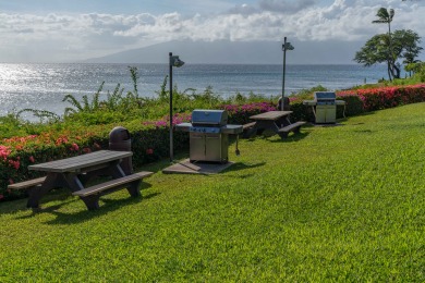 Lake House Napili Point Refined Oceanfront Escape, Remodeled 1BR, AC and amazing views, , on Maui - Lahaina in Hawaii - Lakehouse Vacation Rental - Lake Home for rent on LakeHouseVacations.com