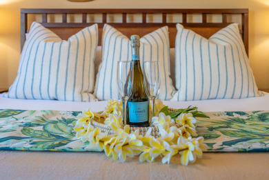 Lake House Napili Point Refined Oceanfront Escape, Remodeled 1BR, AC and amazing views, , on Maui - Lahaina in Hawaii - Lakehouse Vacation Rental - Lake Home for rent on LakeHouseVacations.com