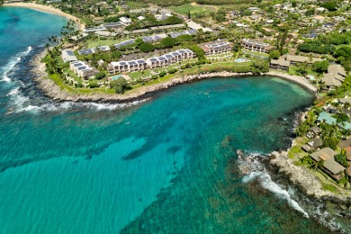 Lake House Napili Point Refined Oceanfront Escape, Remodeled 1BR, AC and amazing views, , on Maui - Lahaina in Hawaii - Lakehouse Vacation Rental - Lake Home for rent on LakeHouseVacations.com