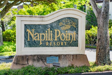Lake House Napili Point Refined Oceanfront Escape, Remodeled 1BR, AC and amazing views, , on Maui - Lahaina in Hawaii - Lakehouse Vacation Rental - Lake Home for rent on LakeHouseVacations.com