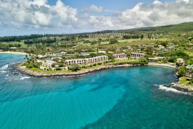 Lake House Napili Point Refined Oceanfront Escape, Remodeled 1BR, AC and amazing views, , on Maui - Lahaina in Hawaii - Lakehouse Vacation Rental - Lake Home for rent on LakeHouseVacations.com
