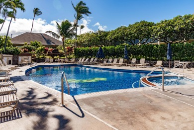 Lake House OCEANVIEW 1 BDRM Napili Shores F147 - AC, King bed, ground floor, , on Maui - Lahaina in Hawaii - Lakehouse Vacation Rental - Lake Home for rent on LakeHouseVacations.com