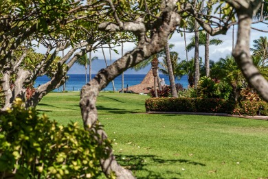 Lake House OCEANVIEW 1 BDRM Napili Shores F147 - AC, King bed, ground floor, , on Maui - Lahaina in Hawaii - Lakehouse Vacation Rental - Lake Home for rent on LakeHouseVacations.com