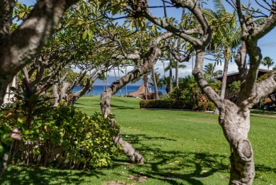Lake House OCEANVIEW 1 BDRM Napili Shores F147 - AC, King bed, ground floor, , on Maui - Lahaina in Hawaii - Lakehouse Vacation Rental - Lake Home for rent on LakeHouseVacations.com