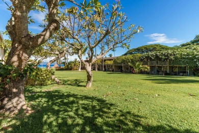 Lake House OCEANVIEW 1 BDRM Napili Shores F147 - AC, King bed, ground floor, , on Maui - Lahaina in Hawaii - Lakehouse Vacation Rental - Lake Home for rent on LakeHouseVacations.com