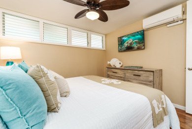Lake House OCEANVIEW 1 BDRM Napili Shores F147 - AC, King bed, ground floor, , on Maui - Lahaina in Hawaii - Lakehouse Vacation Rental - Lake Home for rent on LakeHouseVacations.com