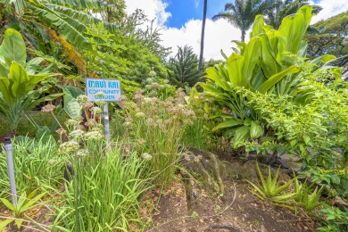 Lake House Oceanfront Penthouse on Kaanapali Beach,1BR1BA, AC,Views of Lanai & Molokai, , on Maui - Lahaina in Hawaii - Lakehouse Vacation Rental - Lake Home for rent on LakeHouseVacations.com