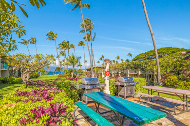Lake House Ultra ModernCoastal-Remodel, Oceanview, AC - Napili Shores G154, , on Maui - Lahaina in Hawaii - Lakehouse Vacation Rental - Lake Home for rent on LakeHouseVacations.com