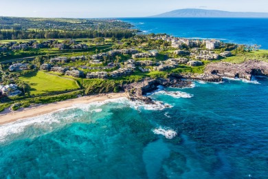 Lake House OCEANVIEW, 1 bed1 bath condo at the exclusive gated Kapalua Bay Villa 32G4!, , on Maui - Lahaina in Hawaii - Lakehouse Vacation Rental - Lake Home for rent on LakeHouseVacations.com