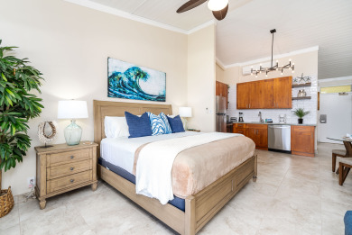Lake House Luxury Oceanfront Studio at Napili Shores, View of Lanai and Molokai A203, , on Maui - Lahaina in Hawaii - Lakehouse Vacation Rental - Lake Home for rent on LakeHouseVacations.com
