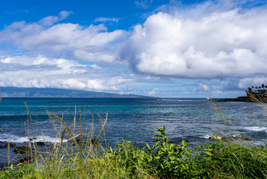 Lake House Sophisticated Stay Napili Shores Oceanfront Studio A106, , on Maui - Lahaina in Hawaii - Lakehouse Vacation Rental - Lake Home for rent on LakeHouseVacations.com