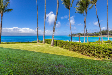 Lake House Sophisticated Stay Napili Shores Oceanfront Studio A106, , on Maui - Lahaina in Hawaii - Lakehouse Vacation Rental - Lake Home for rent on LakeHouseVacations.com