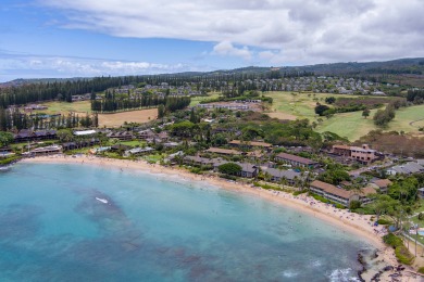 Lake House Luxury Oceanfront Studio at Napili Shores, RenovatedDirect Ocean Views AC, , on Maui - Lahaina in Hawaii - Lakehouse Vacation Rental - Lake Home for rent on LakeHouseVacations.com