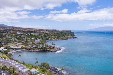 Lake House Luxury Oceanfront Studio at Napili Shores, RenovatedDirect Ocean Views AC, , on Maui - Lahaina in Hawaii - Lakehouse Vacation Rental - Lake Home for rent on LakeHouseVacations.com