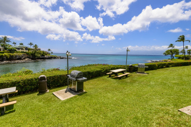 Lake House Snorkel, Relax, Explore 2BR Oceanfront Condo Between Napili and Kapalua, , on Maui - Lahaina in Hawaii - Lakehouse Vacation Rental - Lake Home for rent on LakeHouseVacations.com