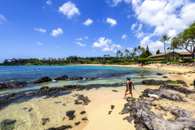 Lake House Snorkel, Relax, Explore 2BR Oceanfront Condo Between Napili and Kapalua, , on Maui - Lahaina in Hawaii - Lakehouse Vacation Rental - Lake Home for rent on LakeHouseVacations.com