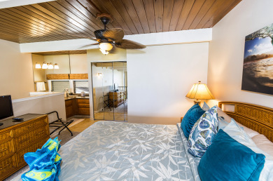 Lake House Snorkel, Relax, Explore 2BR Oceanfront Condo Between Napili and Kapalua, , on Maui - Lahaina in Hawaii - Lakehouse Vacation Rental - Lake Home for rent on LakeHouseVacations.com