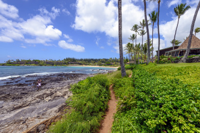 Lake House Snorkel, Relax, Explore 2BR Oceanfront Condo Between Napili and Kapalua, , on Maui - Lahaina in Hawaii - Lakehouse Vacation Rental - Lake Home for rent on LakeHouseVacations.com