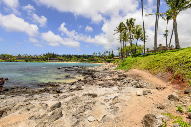 Lake House Snorkel, Relax, Explore 2BR Oceanfront Condo Between Napili and Kapalua, , on Maui - Lahaina in Hawaii - Lakehouse Vacation Rental - Lake Home for rent on LakeHouseVacations.com