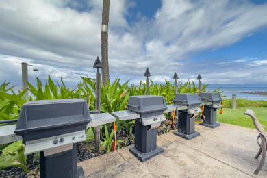 Lake House Breathtaking Ocean Views 2BR2BA Condo Pool, Beach Access West Maui Gem, , on Maui - Lahaina in Hawaii - Lakehouse Vacation Rental - Lake Home for rent on LakeHouseVacations.com