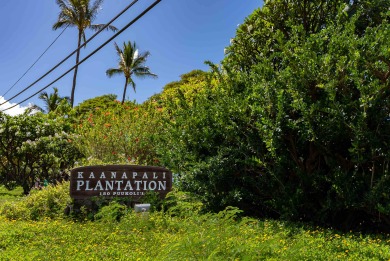 Lake House 3BR Ka anapali Retreat Ocean Views, Gorgeous renovation, Walk to Beach, , on Maui - Lahaina in Hawaii - Lakehouse Vacation Rental - Lake Home for rent on LakeHouseVacations.com