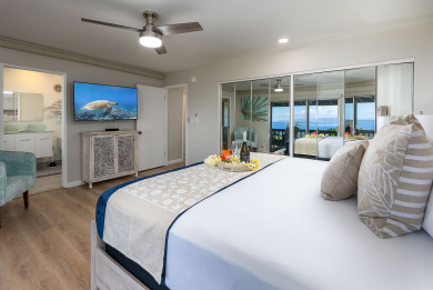 Lake House 3BR Ka anapali Retreat Ocean Views, Gorgeous renovation, Walk to Beach, , on Maui - Lahaina in Hawaii - Lakehouse Vacation Rental - Lake Home for rent on LakeHouseVacations.com