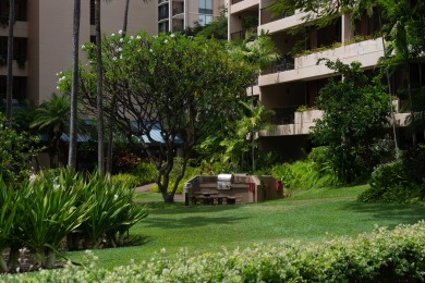 Lake House Spacious OCEAN FRONT 2Bd2Ba Condo with AC - Sands Of Kahana 315 , , on Maui - Lahaina in Hawaii - Lakehouse Vacation Rental - Lake Home for rent on LakeHouseVacations.com