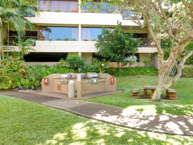 Lake House Spacious OCEAN FRONT 2Bd2Ba Condo with AC - Sands Of Kahana 315 , , on Maui - Lahaina in Hawaii - Lakehouse Vacation Rental - Lake Home for rent on LakeHouseVacations.com