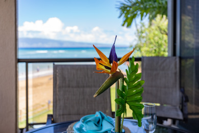 Lake House Spacious OCEAN FRONT 2Bd2Ba Condo with AC - Sands Of Kahana 315 , , on Maui - Lahaina in Hawaii - Lakehouse Vacation Rental - Lake Home for rent on LakeHouseVacations.com