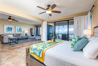 Lake House Spacious OCEAN FRONT 2Bd2Ba Condo with AC - Sands Of Kahana 315 , , on Maui - Lahaina in Hawaii - Lakehouse Vacation Rental - Lake Home for rent on LakeHouseVacations.com