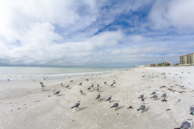 Lake House Beachfront Complex - 2b 2b - Beach Place #203, , on Madeira Beach in Florida - Lakehouse Vacation Rental - Lake Home for rent on LakeHouseVacations.com