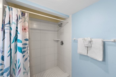 Lake House Direct Beachfront - Hot Tub - Sea Breeze #308, , on Madeira Beach in Florida - Lakehouse Vacation Rental - Lake Home for rent on LakeHouseVacations.com